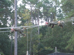 Parris Island 2005 091