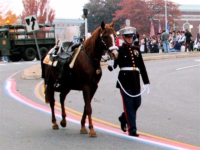 Vet. Day Parade 05 012