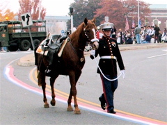 Vet. Day Parade 05 012